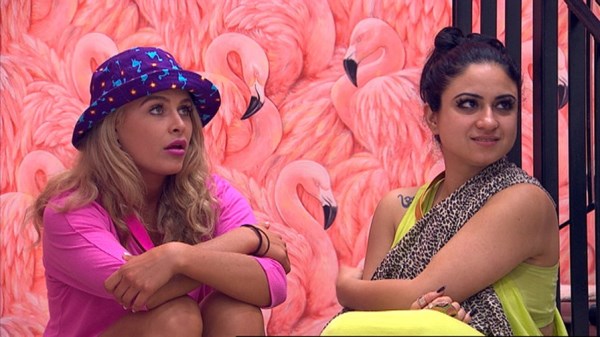 Big Brother House with Flamingo wallpaper