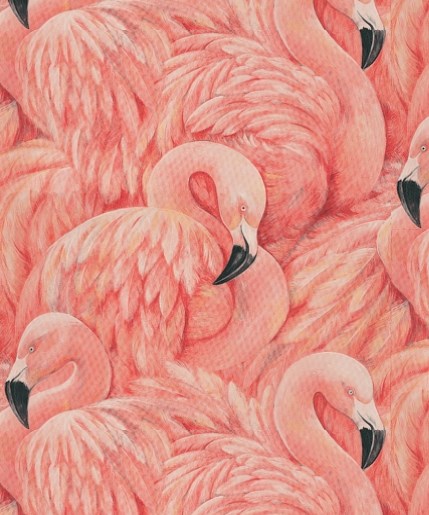 Flamingos - pink