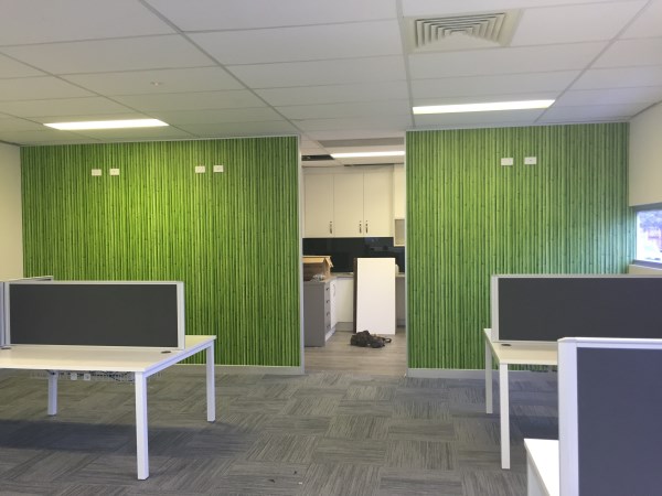 bamboo wallpaper in office